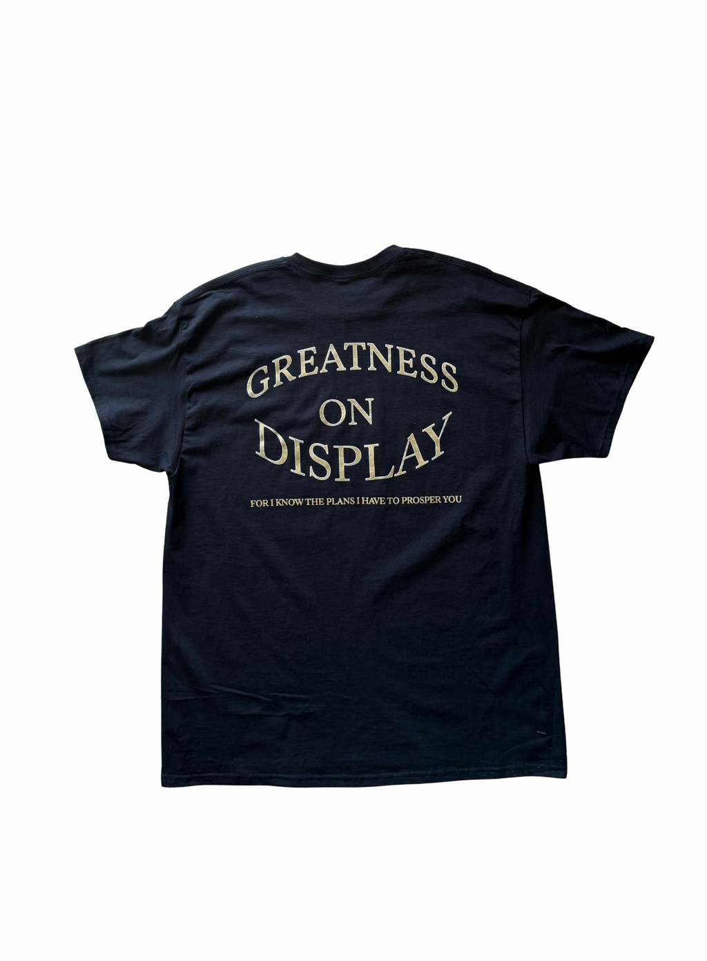 GREATNESS ON DISPLAY TEE