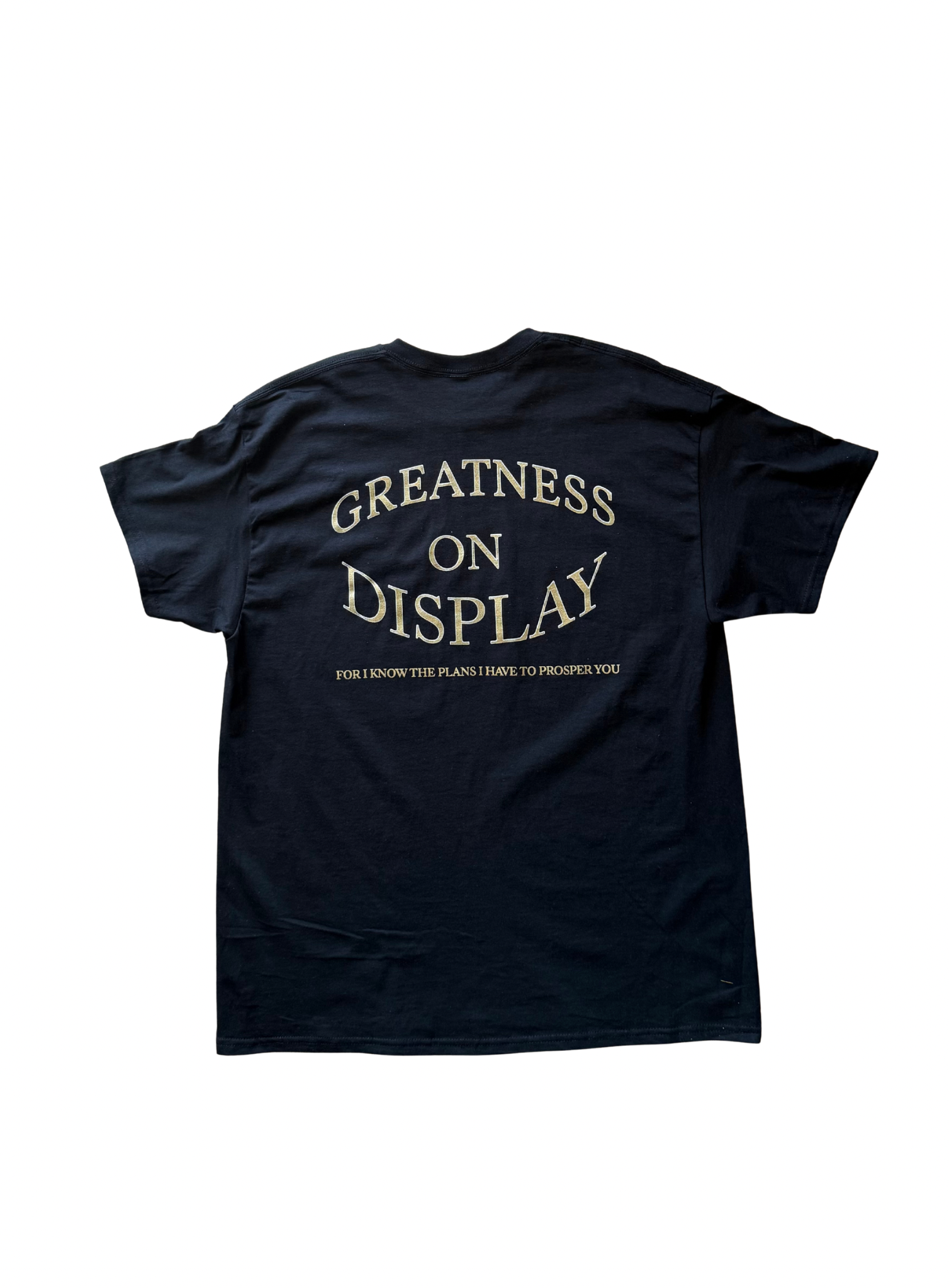 GREATNESS ON DISPLAY TEE